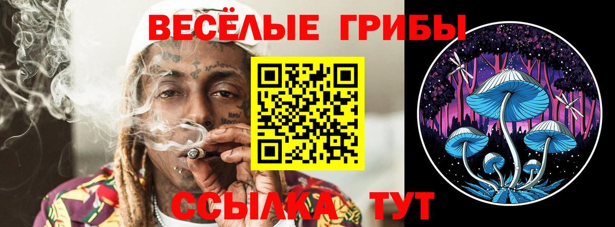 Юрга  Псилоцибиновые грибы ЛСД  Вход с VPN 