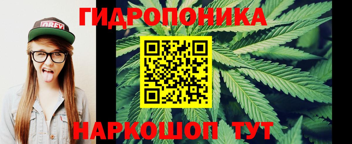 Бошки Шишки AK-47  Шишки марихуана сатива  Вход с VPN  Юрга 